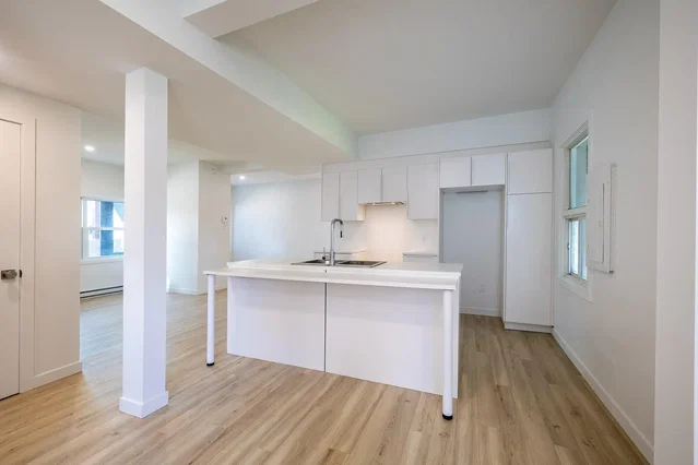 Kitchen; kitchen appliances, wood floor, natural light, renovated