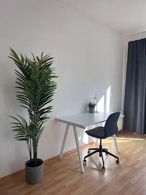 Salon; parquet, lumière naturelle