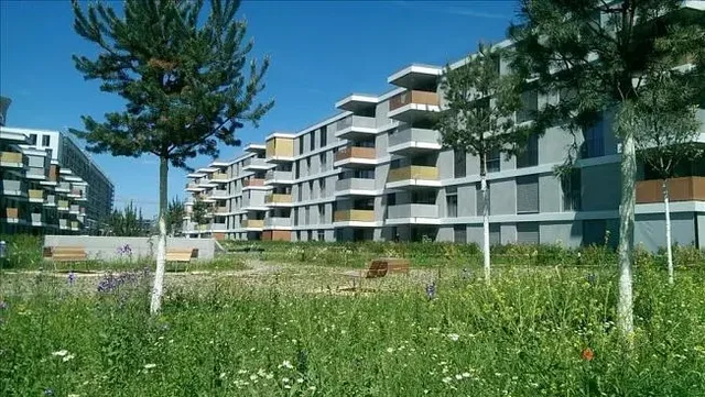 Casa y alrededores; vista, luz natural