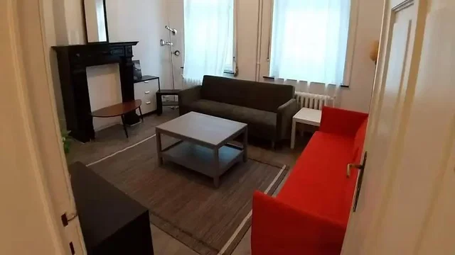 Хол; естествена светлина, камина, дървен под