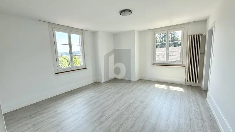 Wohnzimmer; tageslicht, holzboden