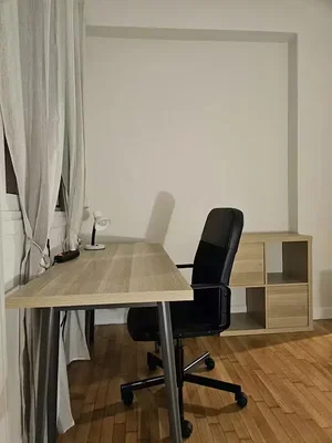 Other; wood floor, natural light