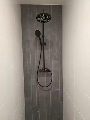 Toilettes; carrelage, rénové, lumière naturelle