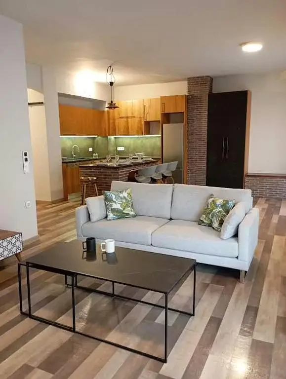 Living room; kitchen appliances, wood floor, natural light, modern style