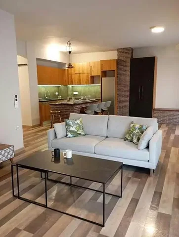 Living room; kitchen appliances, wood floor, natural light, modern style