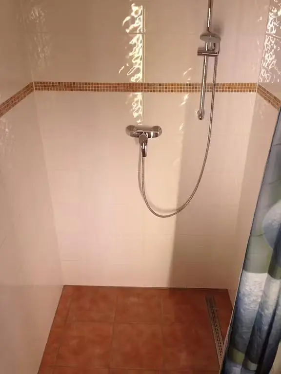 Toilet; tile floor, natural light