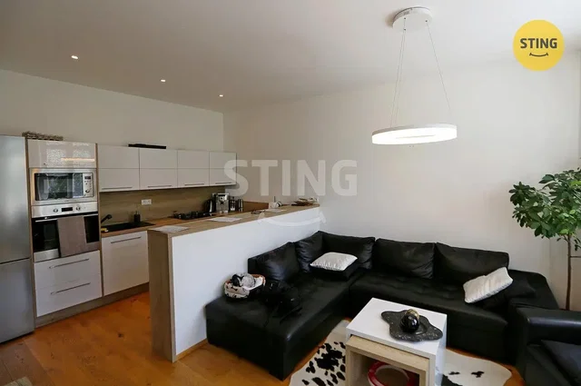 Woonkamer; keukenapparatuur, natuurlijk licht, moderne stijl