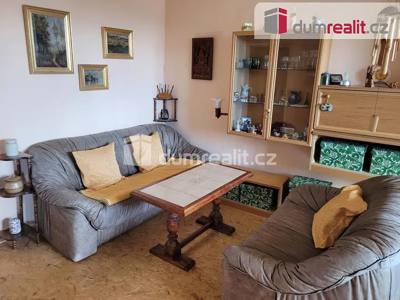 Σαλόνι; ξύλινο πάτωμα, ρουστίκ στυλ, φυσικό φως