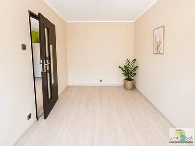 أخرى; أرضية خشبية, ضوء طبيعي, مجدد