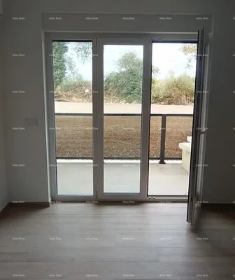 Autre; parquet, lumière naturelle
