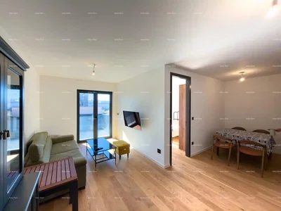 Salon; parquet, lumière naturelle