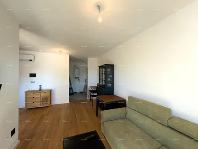 Salon; parquet, lumière naturelle