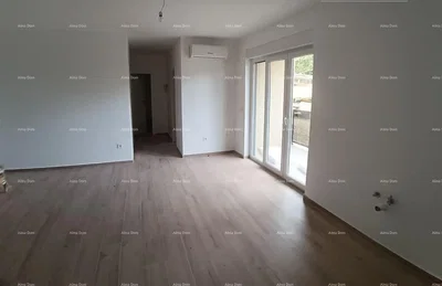 Salon; parquet, lumière naturelle