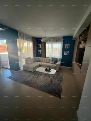 Salón; luz natural, estilo moderno