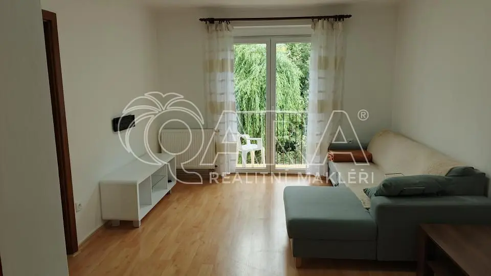 Sala de estar; luz natural, chão de madeira