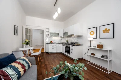 Living room; kitchen appliances, wood floor, natural light, modern style