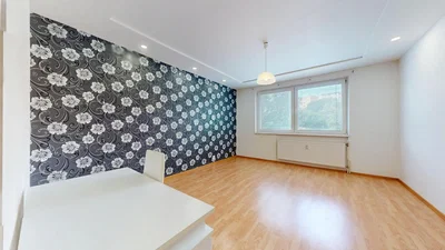 Autre; parquet, lumière naturelle