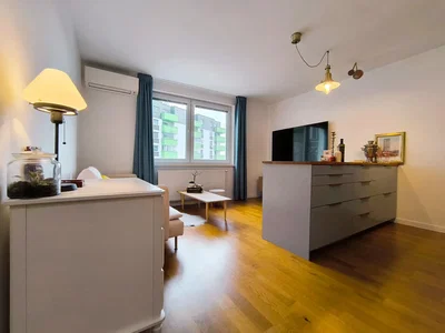 Living room; wood floor, natural light, modern style