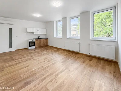 Kitchen; wood floor, natural light, renovated, kitchen appliances