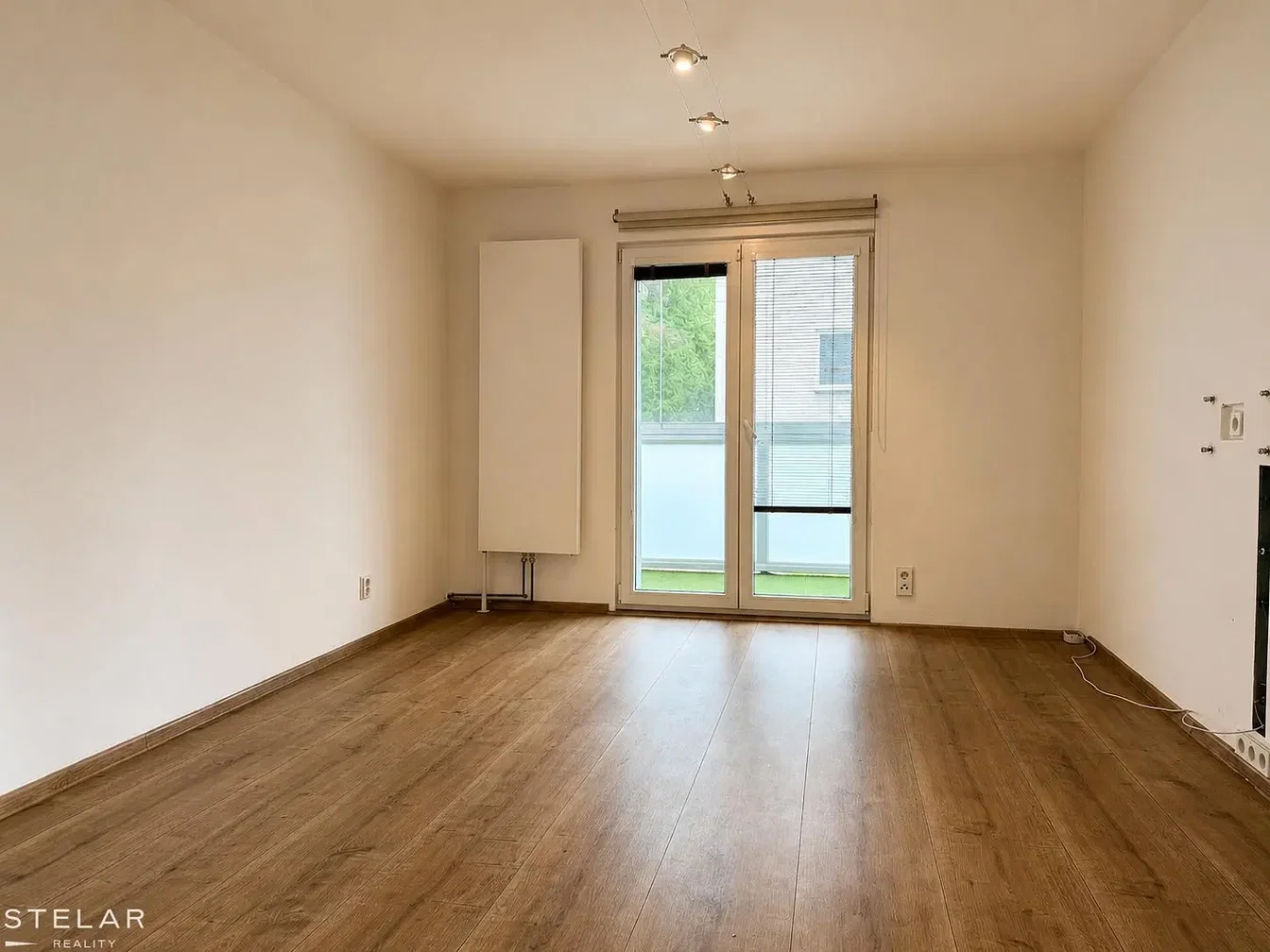 Other; wood floor, natural light