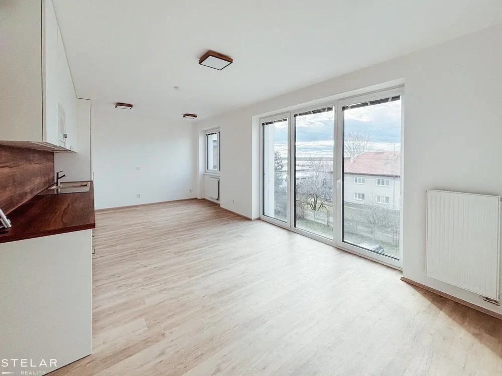 Salon; parquet, lumière naturelle, vue