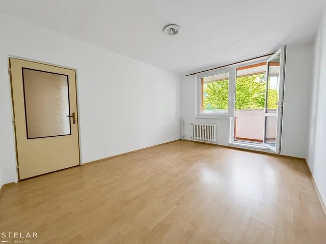 Ostatní; dřevěná podlaha, přirozené světlo