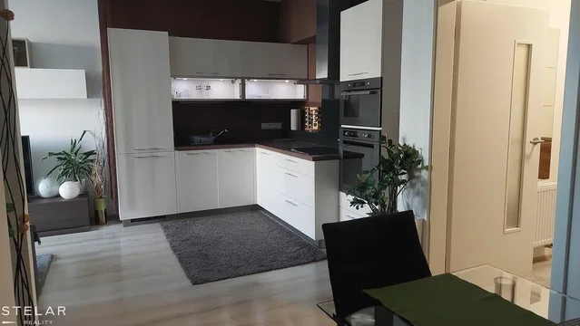 Kuhinja; kuhinjski aparati, drveni pod, prirodno svjetlo