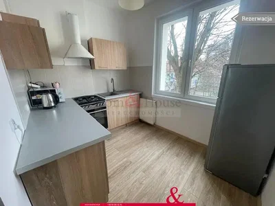 Küche; küchengeräte, blick, tageslicht, holzboden