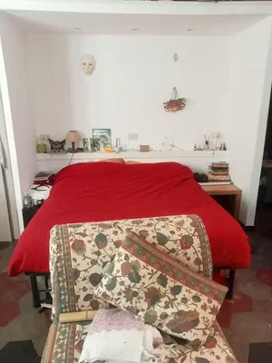 Bedroom; natural light, wood floor