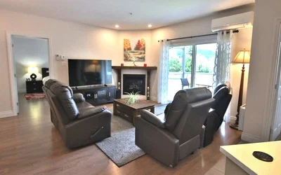 Living room; fireplace, wood floor, natural light