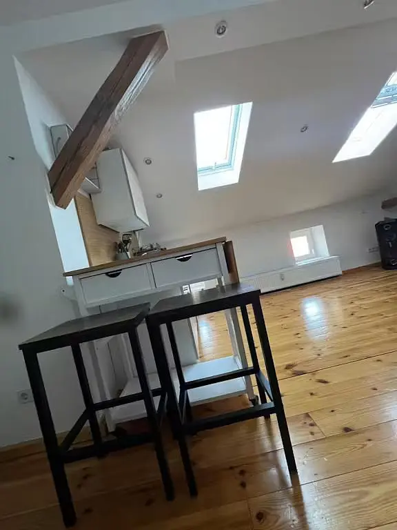 Cozinha; chão de madeira, luz natural, eletrodomésticos
