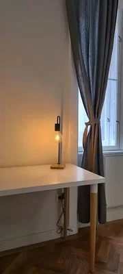 Ostalo; drveni pod, prirodno svjetlo