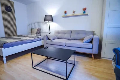 Salon; parquet, lumière naturelle