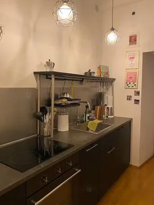 Kuchyně; kuchyňské spotřebiče, dřevěná podlaha, přirozené světlo