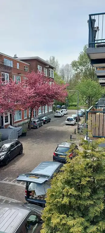 Casa e arredores; vista, luz natural