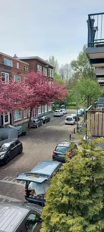 Casa e arredores; vista, luz natural
