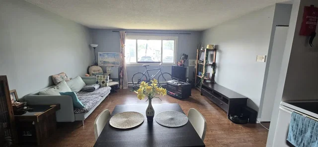 Living room; natural light, wood floor