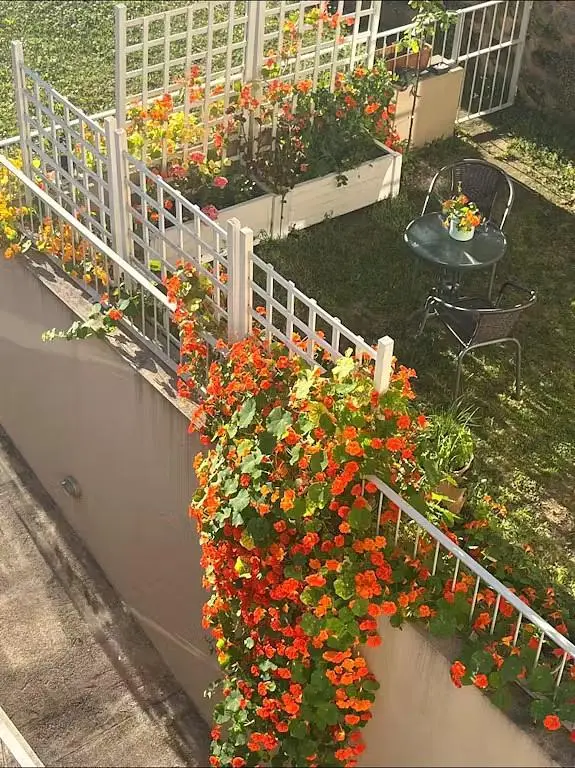Terrasse; tageslicht, renovierungsbedürftig