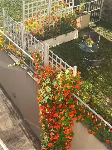 Terasa; prirodno svjetlo, potrebna renovacija