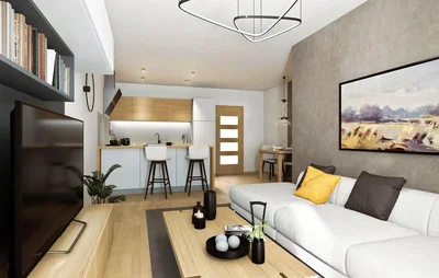 Living room; modern style, wood floor, natural light