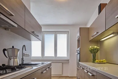 Cucina; elettrodomestici, luce naturale, stile moderno