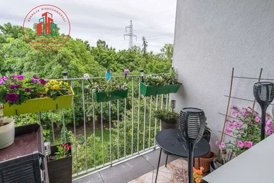 Balkon; tageslicht, blick
