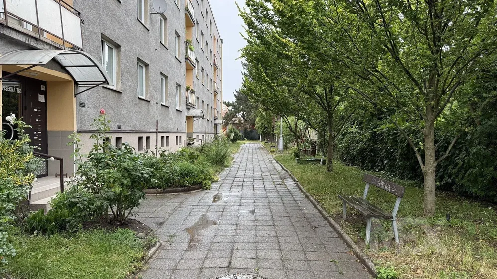 Maison et environs; lumière naturelle