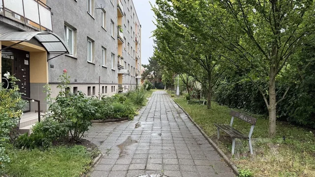 Maison et environs; lumière naturelle