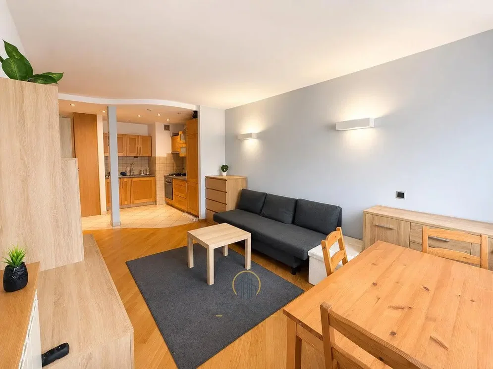 Salon; parquet, lumière naturelle, style moderne, électroménager