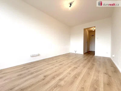 Other; wood floor, natural light