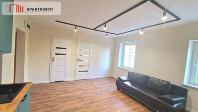 Wohnzimmer; holzboden, tageslicht