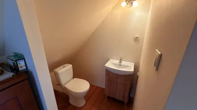 Toilette; holzboden, tageslicht