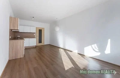 Kuhinja; kućanski aparati, drveni pod, prirodna svjetlost
