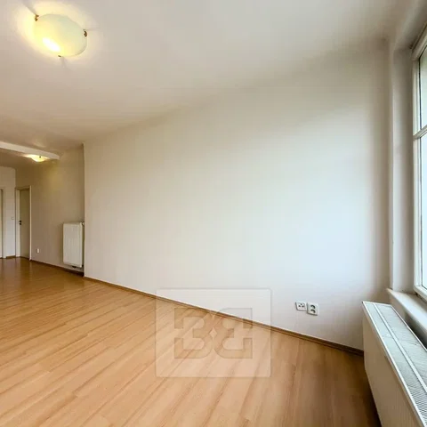 Obývačka; drevená podlaha, prirodzené svetlo